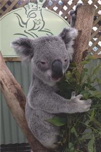 Journal - Koala
