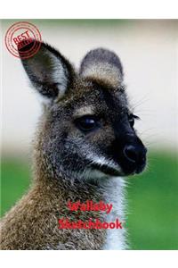 Wallaby Sketchbook