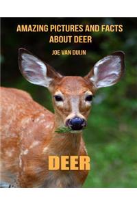 Deer: Amazing Pictures and Facts about Deer