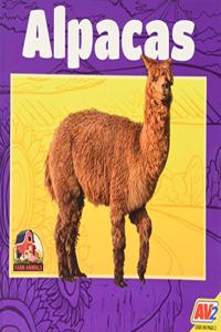 Alpacas