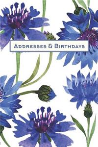 Addresses & Birthdays