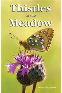 Thistles in the Meadow