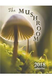 The Mushroom 2018 Calendar (UK Edition)