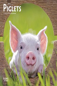 Piglets 2019 Mini Wall Calendar