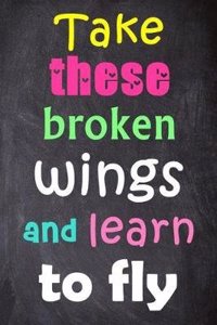 Take These Broken Wings and Learn to Fly
