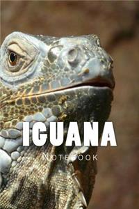 Iguana