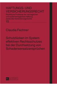 Schutzluecken im System effektiven Rechtsschutzes bei der Durchsetzung von Schadensersatzanspruechen