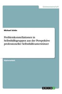 Problemkonstellationen in Selbsthilfegruppen Aus Der Perspektive Professioneller Selbsthilfeunterstützer
