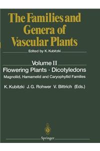 Flowering Plants - Dicotyledons