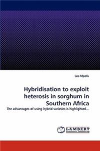 Hybridisation to exploit heterosis in sorghum in Southern Africa