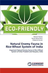 Natural Enemy Fauna in Rice-Wheat System of India