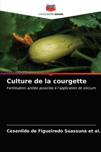 Culture de la courgette