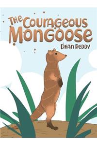 Courageous Mongoose