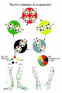 Five Elements in Acupuncture -- A4