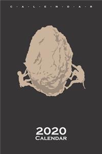 Climbing rocks stone Calendar 2020