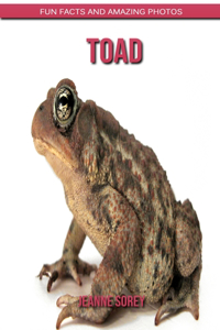 Toad