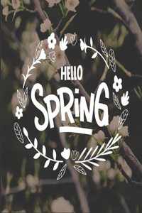 Hello Spring