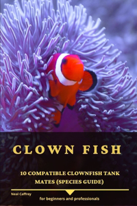 Clown Fish