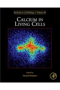 Calcium in Living Cells