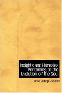 Insights and Heresies Pertaining to the Evolution of the Soul