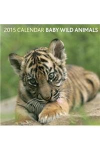 Baby Wild Animals 2015 Calendar