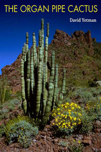 Organ Pipe Cactus