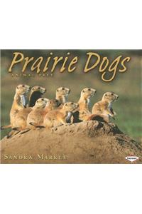 Prairie Dogs