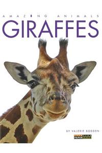 Giraffes