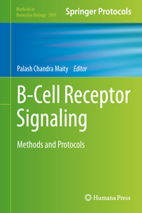 B-Cell Receptor Signaling