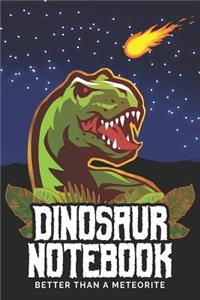 Dinosaur Notebook Better Than A Meteorite: 9x6 101 Blank & Lined Page Sketchpad, Notepad & Journal - With Over 50 Fun Dinosaur Facts For Education & Entertainment. For Future Paleontologists,