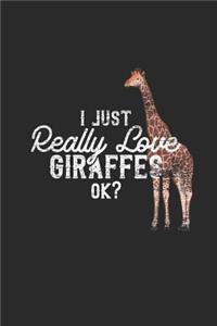 I Just Really Love Giraffes Ok ?