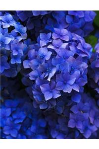 Hydrangea Gardening Journal