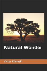 Natural Wonder