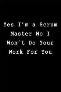 Yes I'm a Scrum Master No I Won't Do Your Work For You