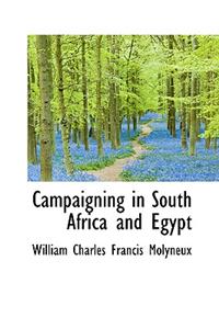 Campaigning in South Africa and Egypt