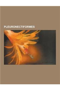 Pleuronectiformes: Achiridae, Achiropsettidae, American Soles, Bothidae, Cynoglossidae, Paralichthyidae, Pleuronectidae, Pleuronectiforme