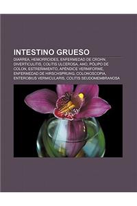 Intestino Grueso