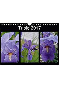 Triple 2017 2017