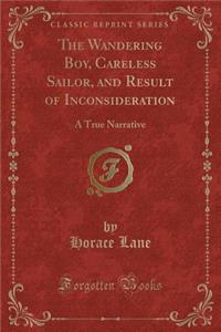 The Wandering Boy, Careless Sailor, and Result of Inconsideration