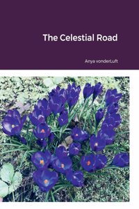 Celestial Road