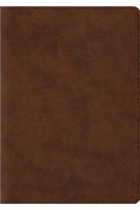 ESV Archaeology Study Bible (Trutone, Brown)