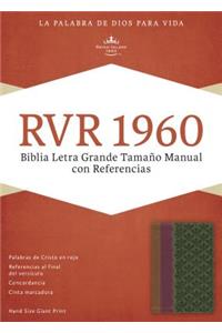 Biblia Letra Grande Tamano Manual Con Referencias-Rvr 1960