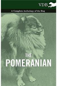 The Pomeranian - A Complete Anthology of the Dog