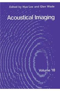 Acoustical Imaging