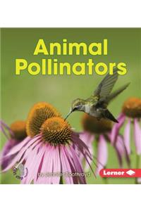 Animal Pollinators