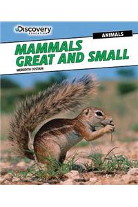 Mammals Great and Small