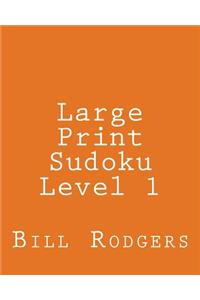 Large Print Sudoku Level 1