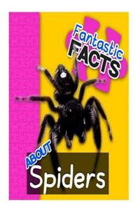 Fantastic Facts about Spiders