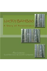 Lucky Bamboo