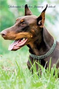 Doberman Pinscher January Notebook Doberman Pinscher Record, Log, Diary, Special Memories, to Do List, Academic Notepad, Scrapbook & More